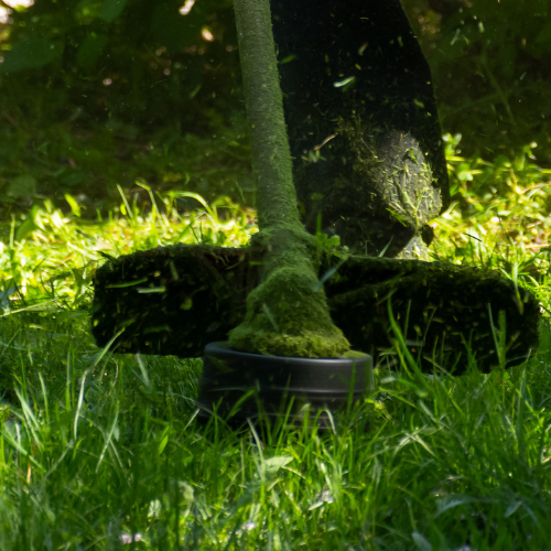 Entretien espaces verts à Pau