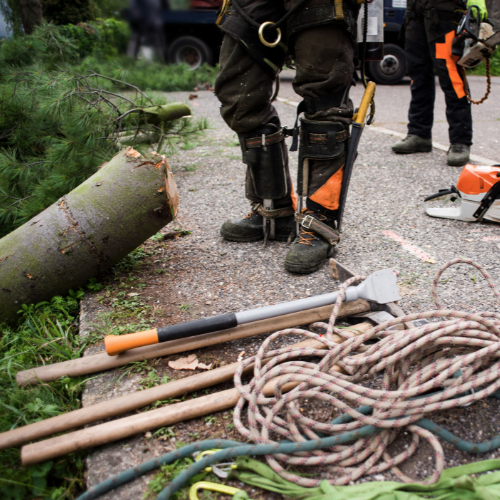 Travaux sur corde