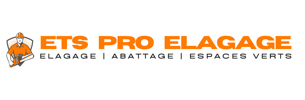 etselagagepro.fr
